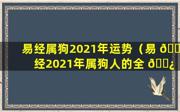 易经属狗2021年运势（易 🌷 经2021年属狗人的全 🌿 年运势）